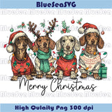 Merry Christmas Dachshund Dog Png Cute Christmas Dog Lover Png